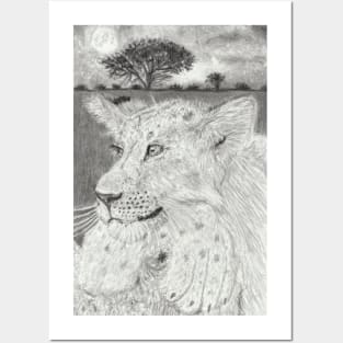 lioness Posters and Art